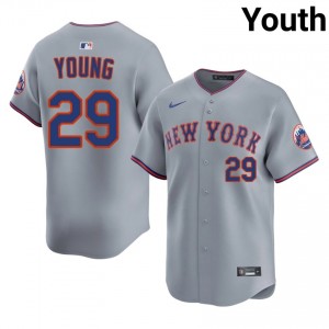 Gray Jared Young #29 Mets Baseball Stitch Jersey | Official Youth Fit 28045148